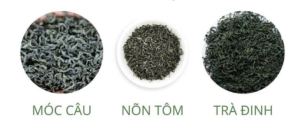 Các dòng Trà Sạch Thái Nguyên tại TNTEA: Móc Câu, Tôm Nõn và Trà Đinh