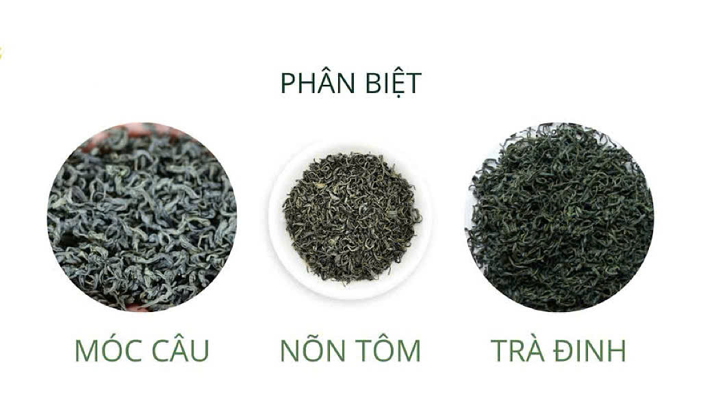 Trà đinh Thái Nguyên