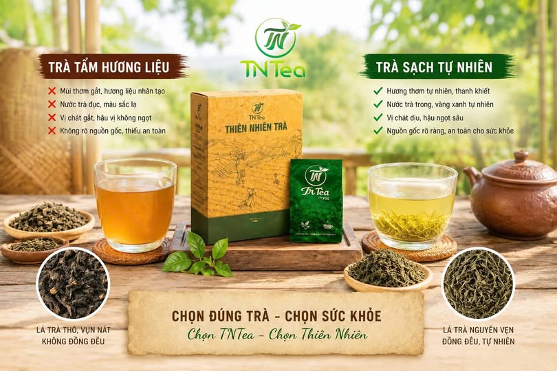 trà sạch thái nguyên