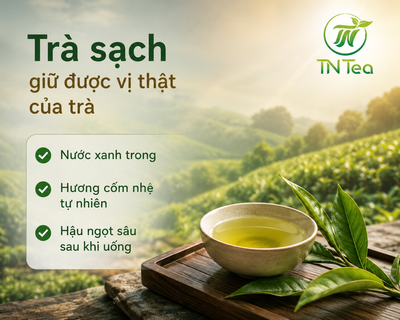 chén trà sạch