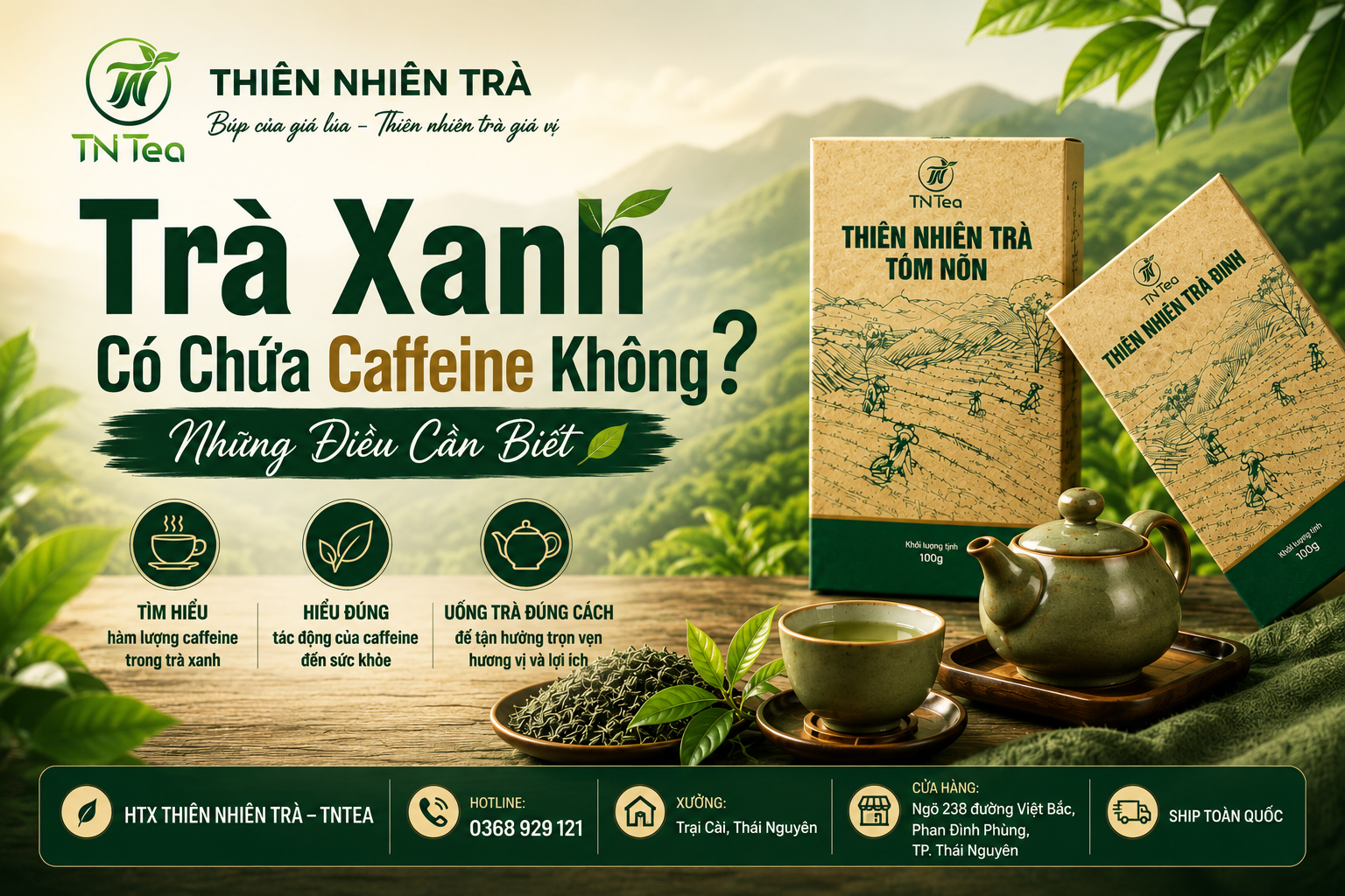 Trà Xanh Có Chứa Caffeine Không