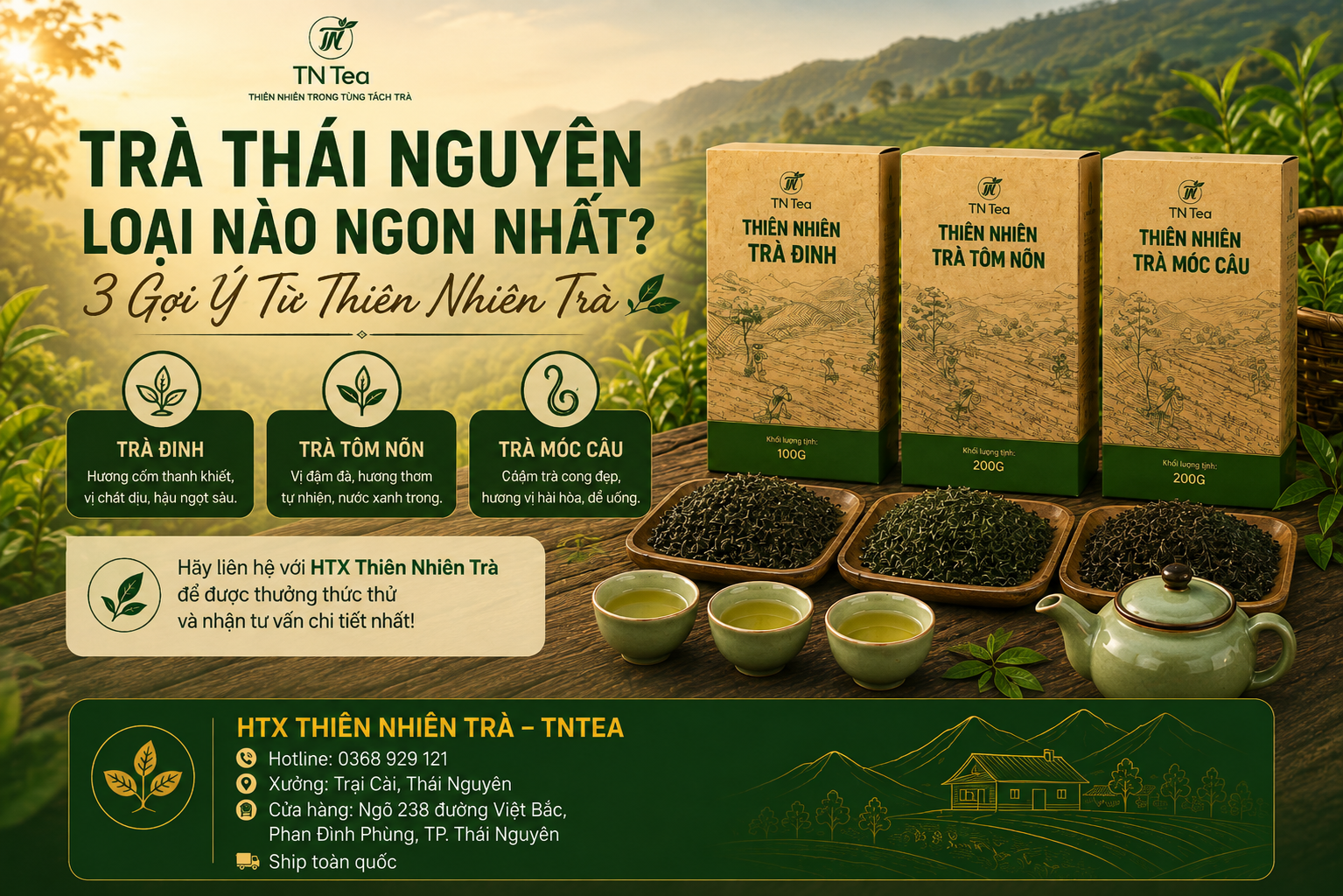 Trà Thái Nguyên Loại Nào Ngon Nhất? 3 Gợi Ý Từ Thiên Nhiên Trà