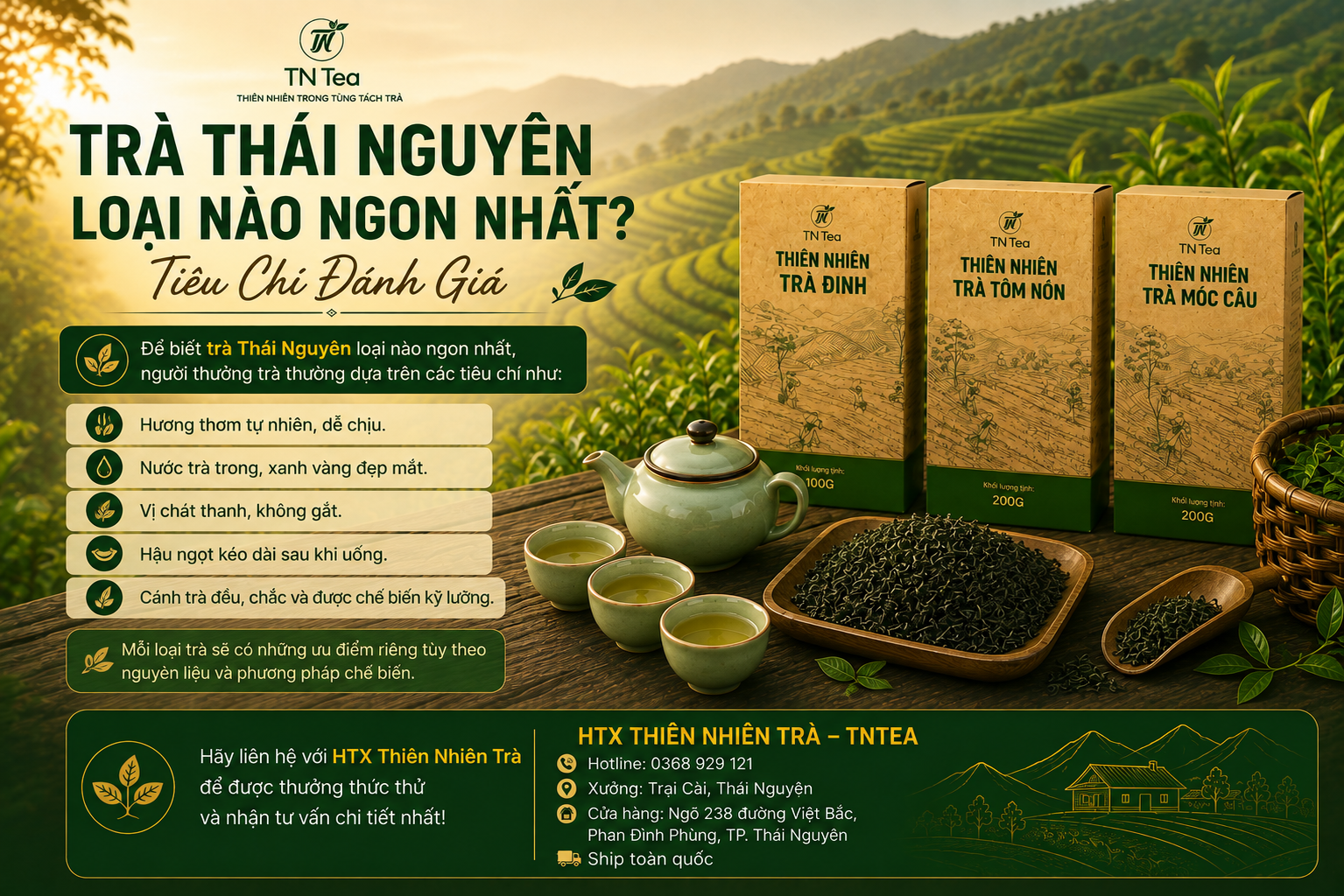 Trà Thái Nguyên Loại Nào Ngon Nhất? Tiêu Chí Đánh Gi