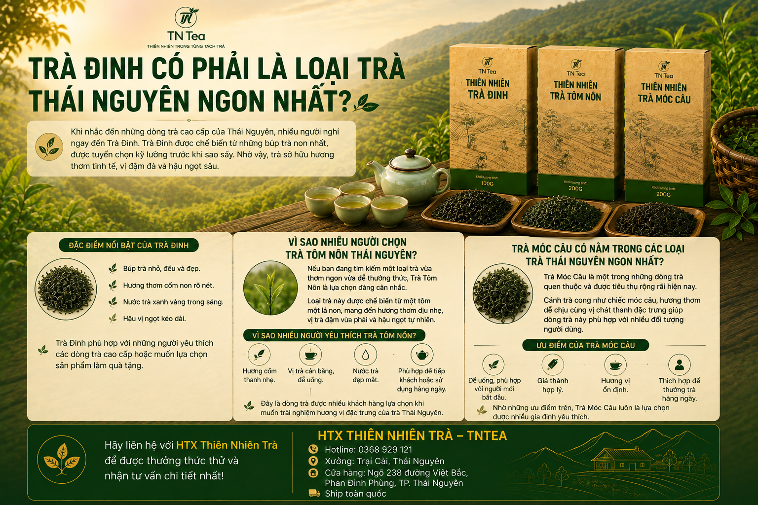 Trà Đinh Có Phải Là Loại Trà Thái Nguyên Ngon Nhất?