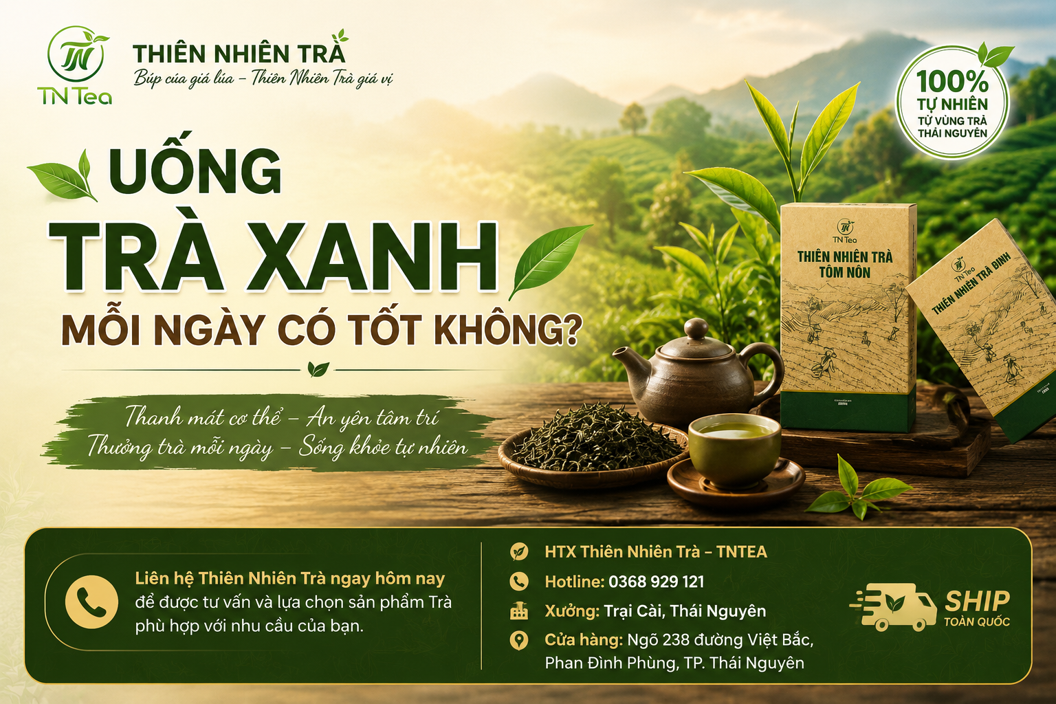 uống trà xanh mỗi ngày có tốt không