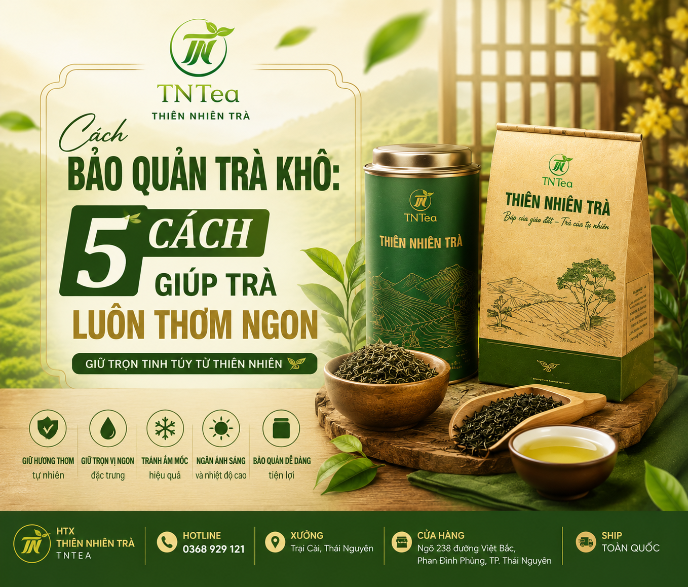 5 cách bảo quản trà khô