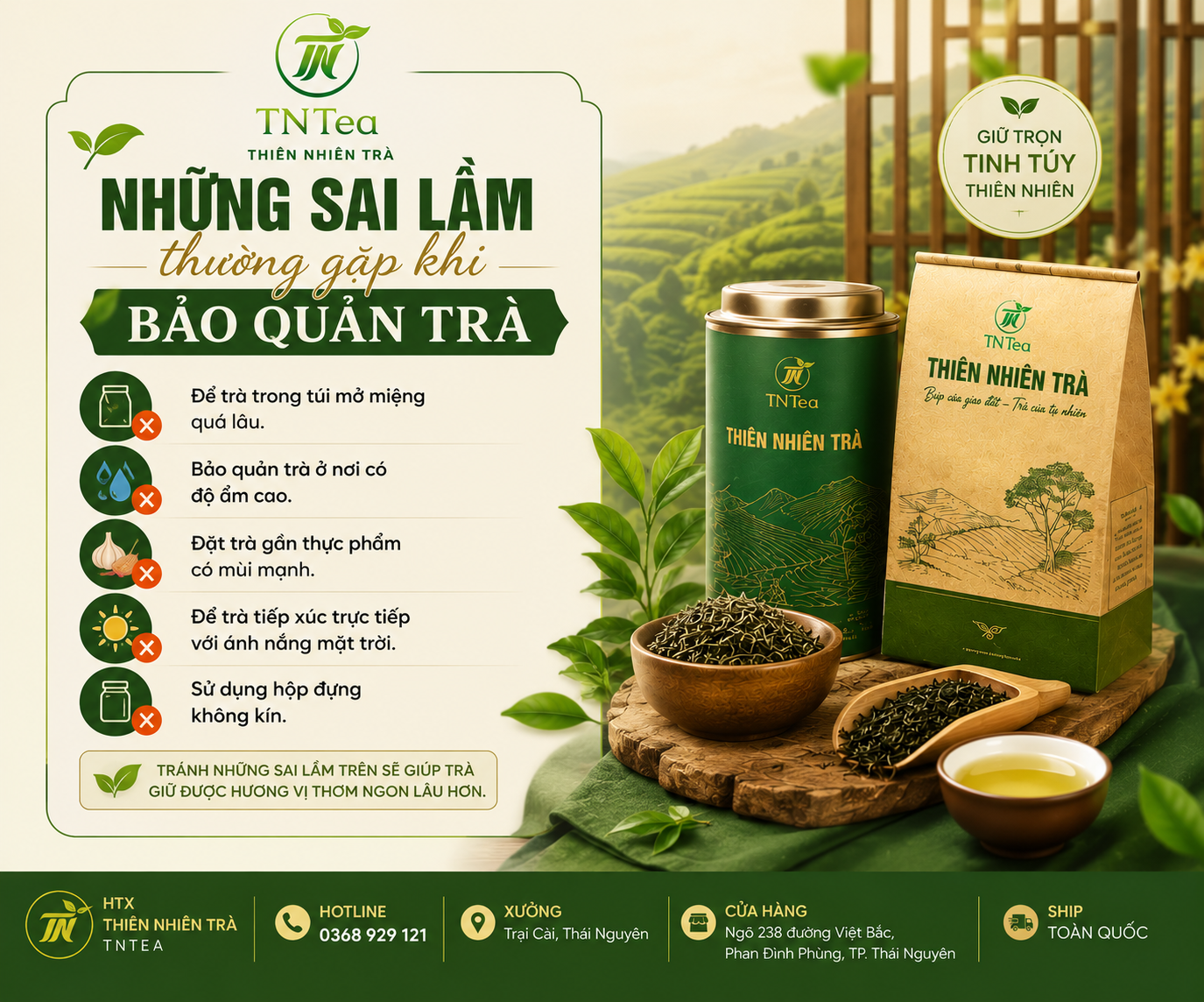 sai lầm bảo quản trà