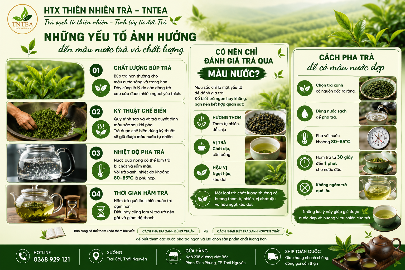 màu nước trà Thái Nguyên