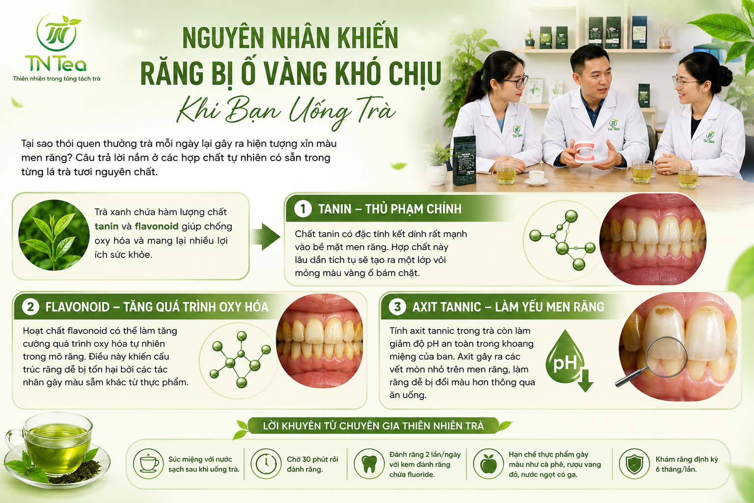 Giải mã nguyên nhân uống trà có bị vàng răng không cùng các chuyên gia Thiên Nhiên Trà.