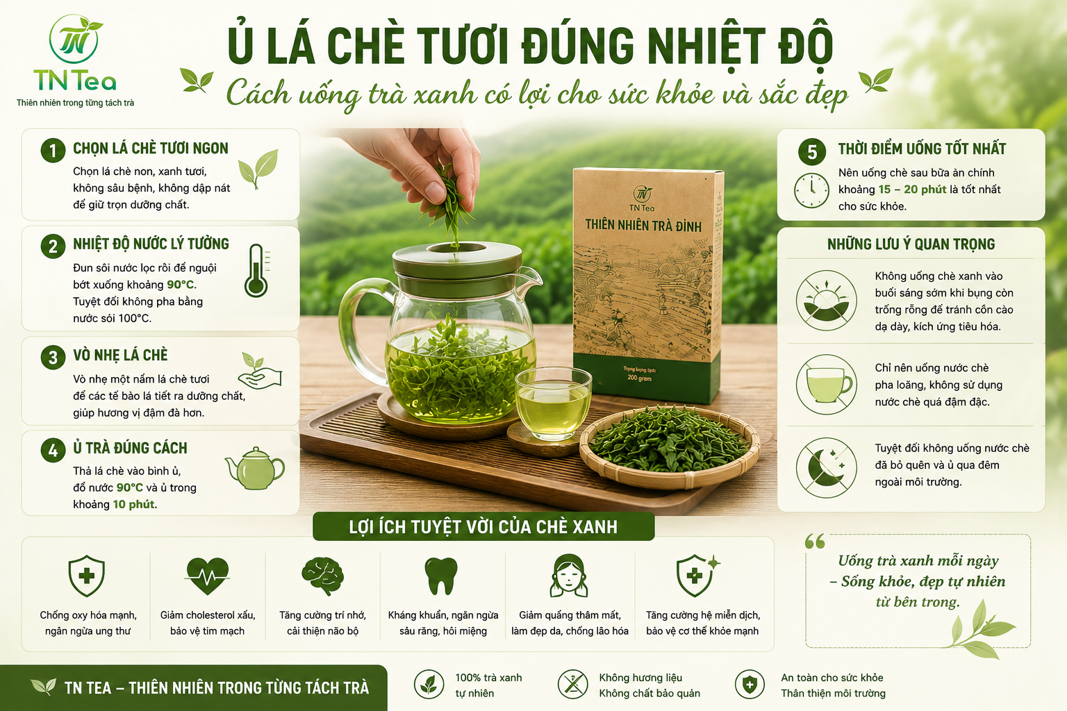 ủ trà 