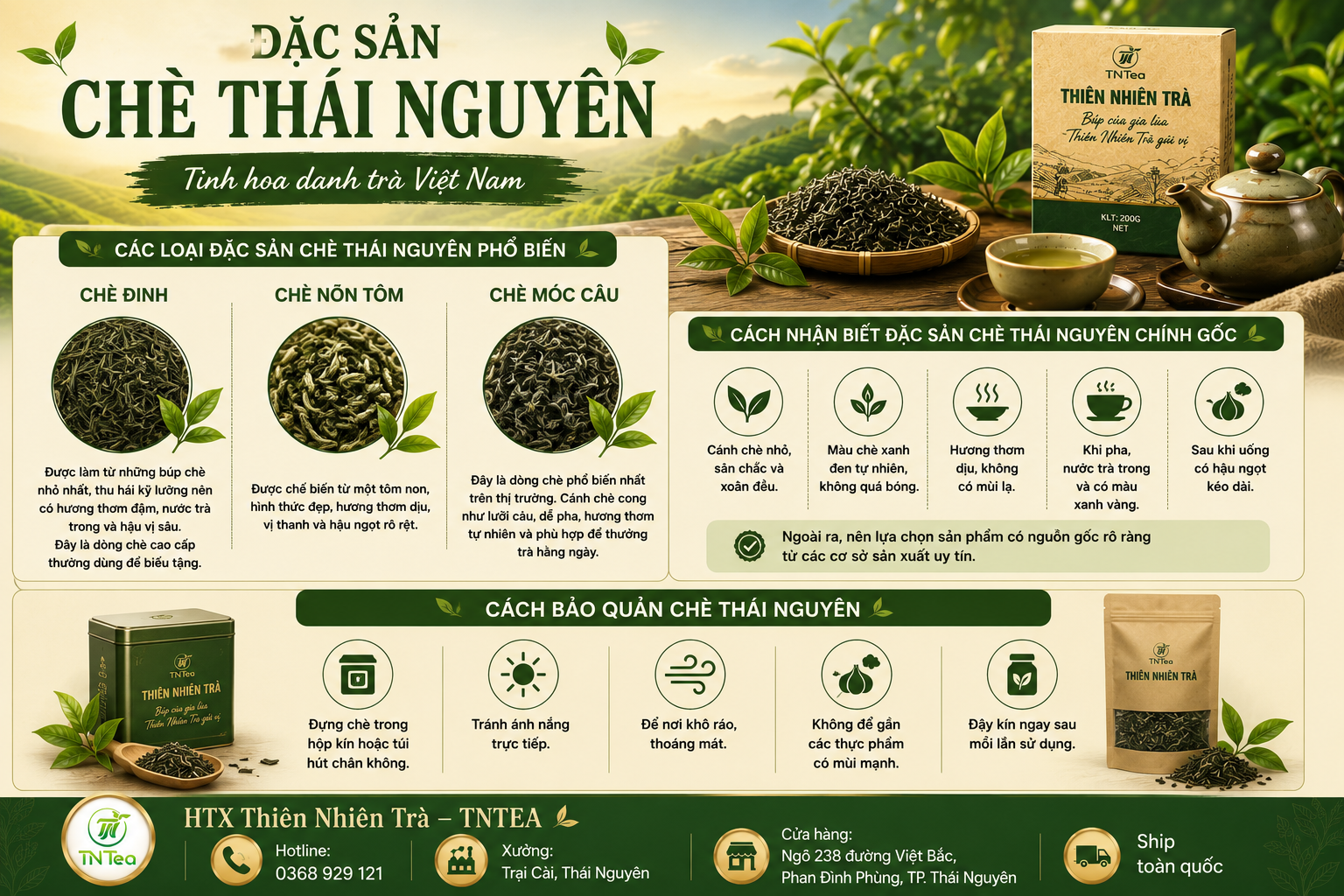 Các loại đặc sản chè Thái Nguyên phổ biến và cách nhận biết chè chính gốc
