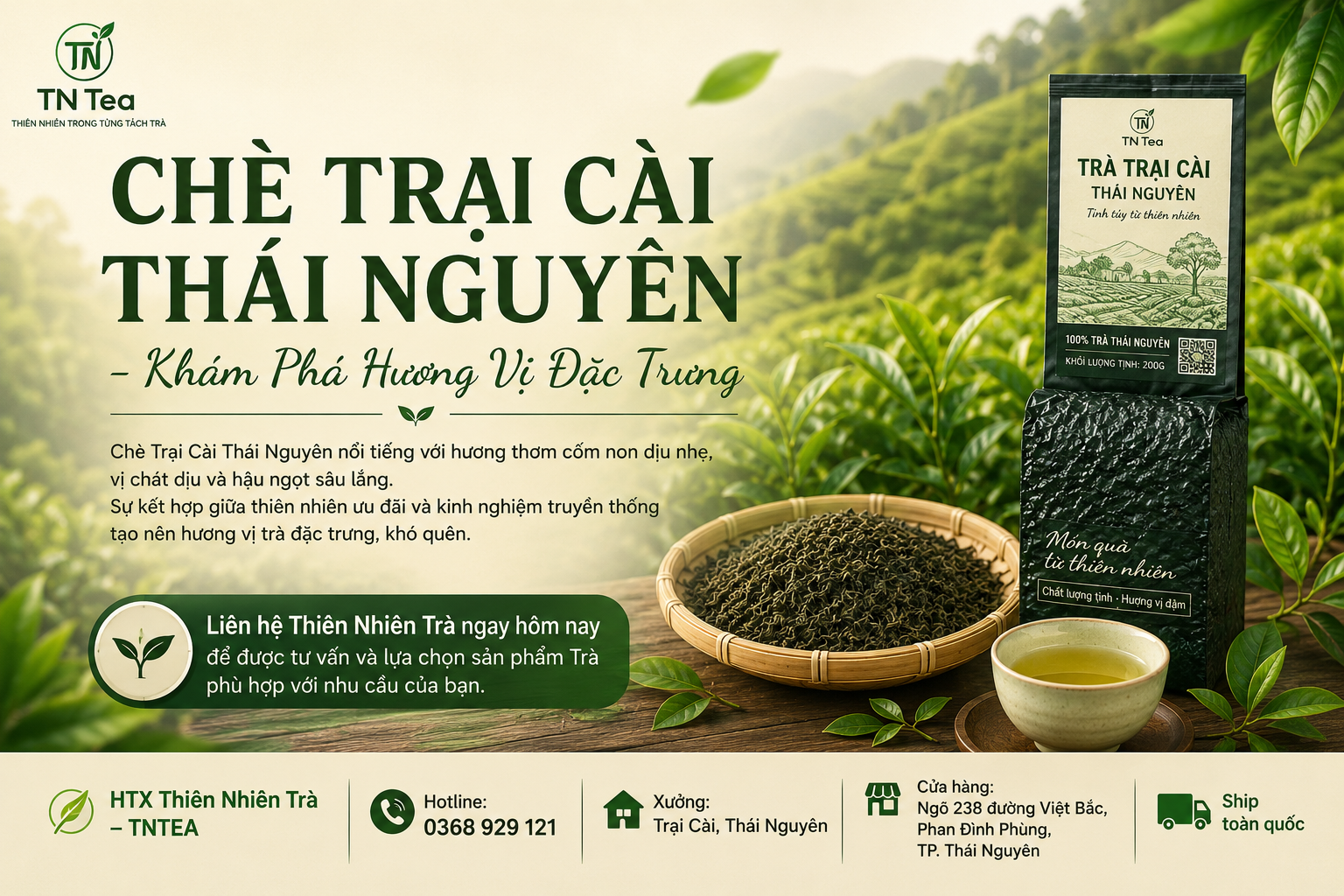 Chè Trại Cài Thái Nguyên – Khám Phá Hương Vị Đặc Trưng
