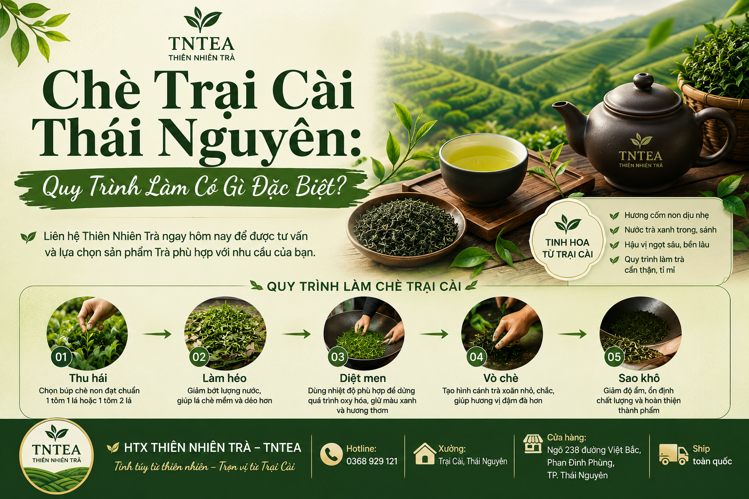 Chè Trại Cài Thái Nguyên: Quy Trình Làm Có Gì Đặc Biệt