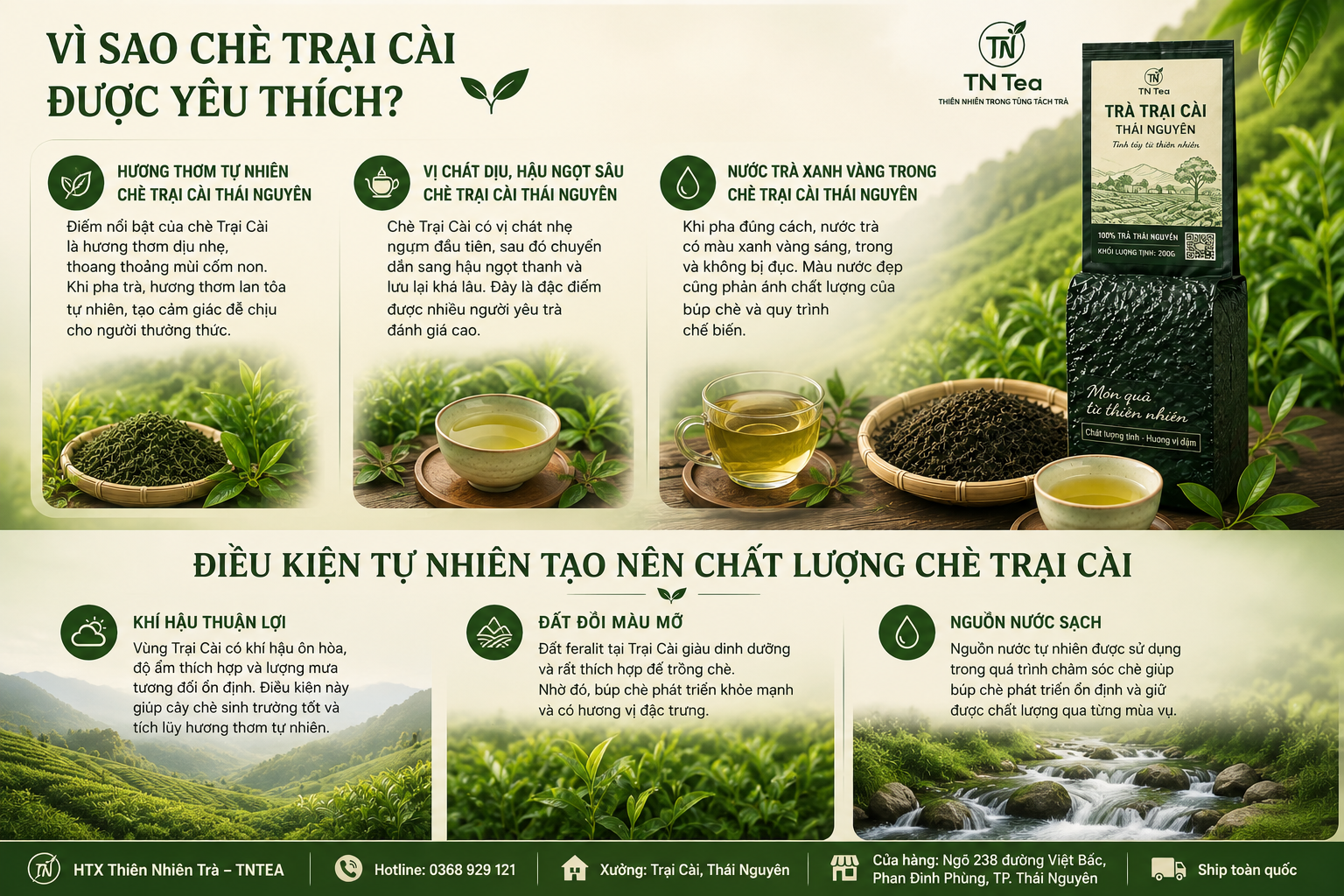 Vì Sao Chè Trại Cài Được Yêu Thích?