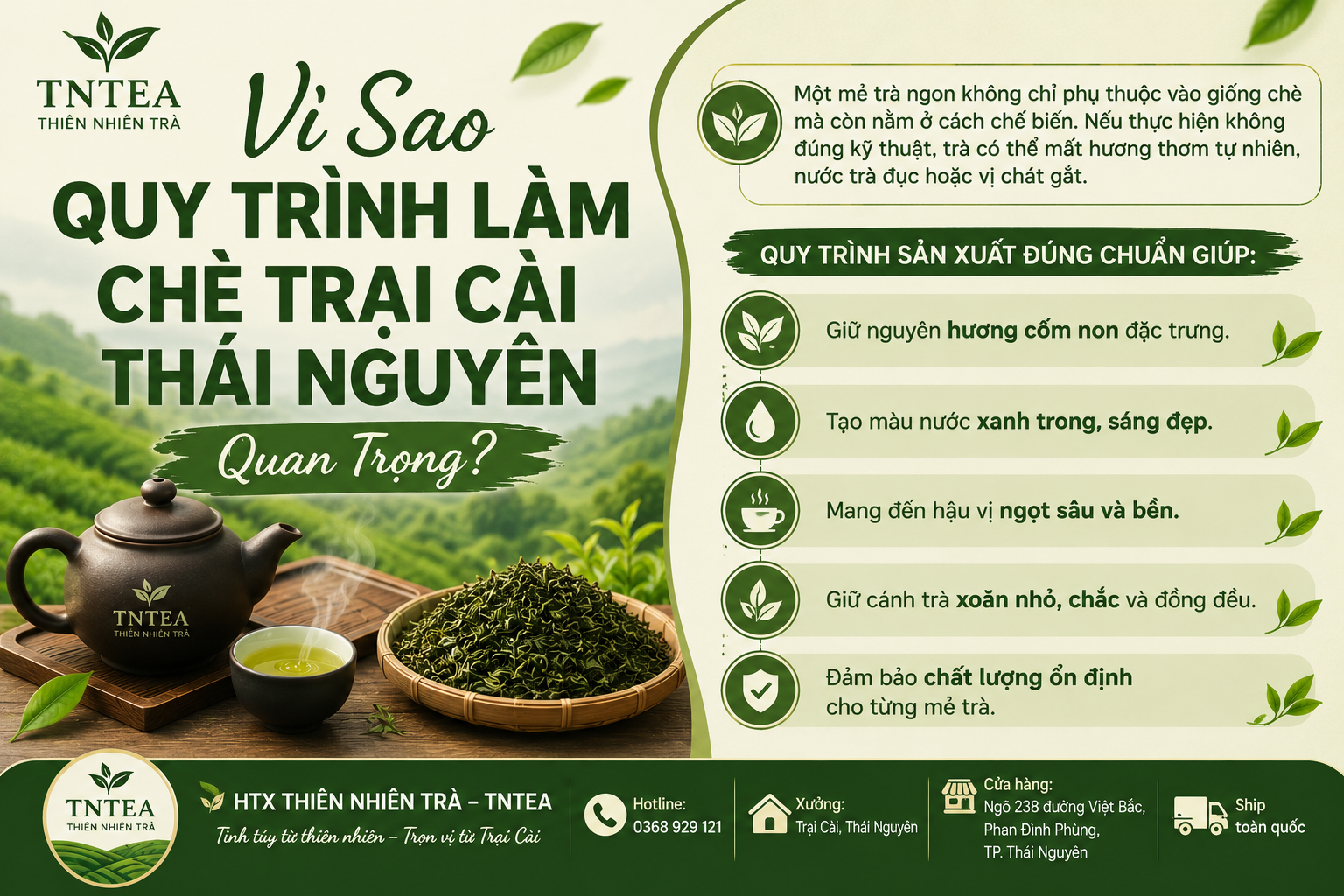 Vì Sao Quy Trình Làm Chè Trại Cài Thái Nguyên Quan Trọng