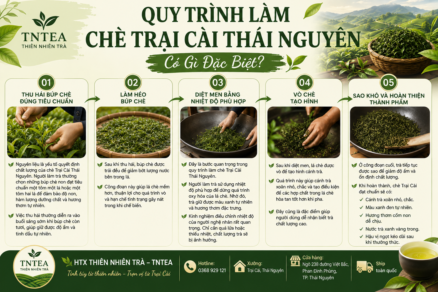 Quy Trình Làm Chè Trại Cài Thái Nguyên Có Gì Đặc Biệt