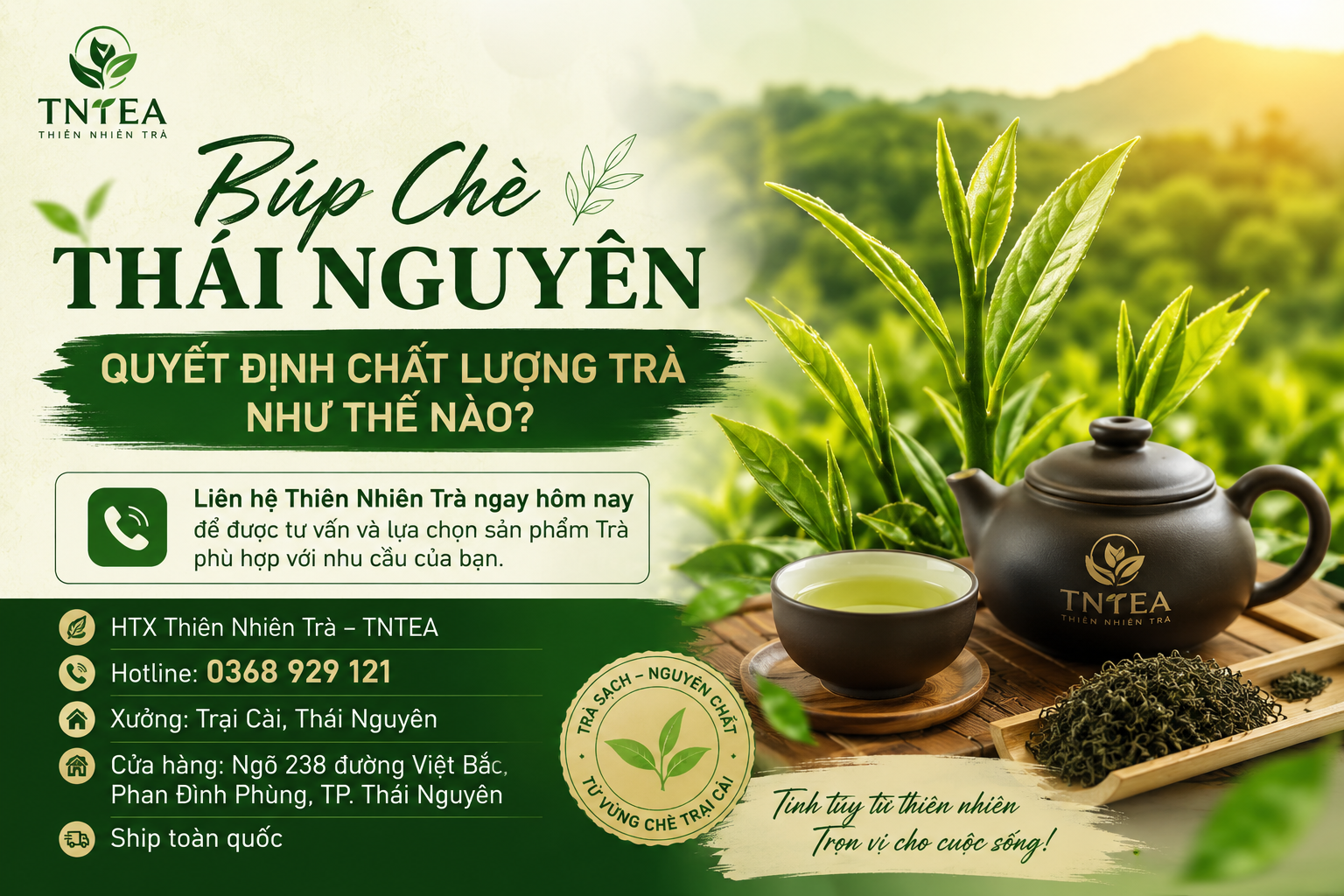 úp Chè Thái Nguyên Quyết Định Chất Lượng Trà Như Thế Nào