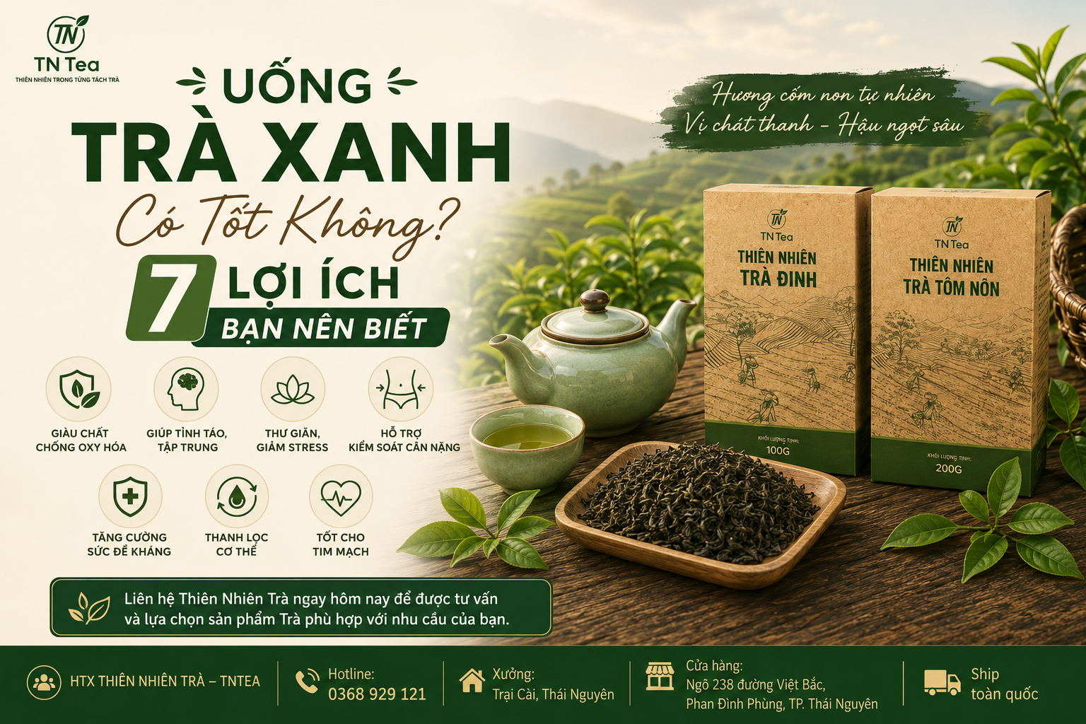 Uống Trà Xanh Có Tốt Không? 7 Lợi Ích Bạn Nên Biết