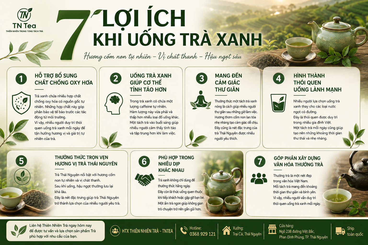 Lợi Ích Khi Uống Trà Xanh