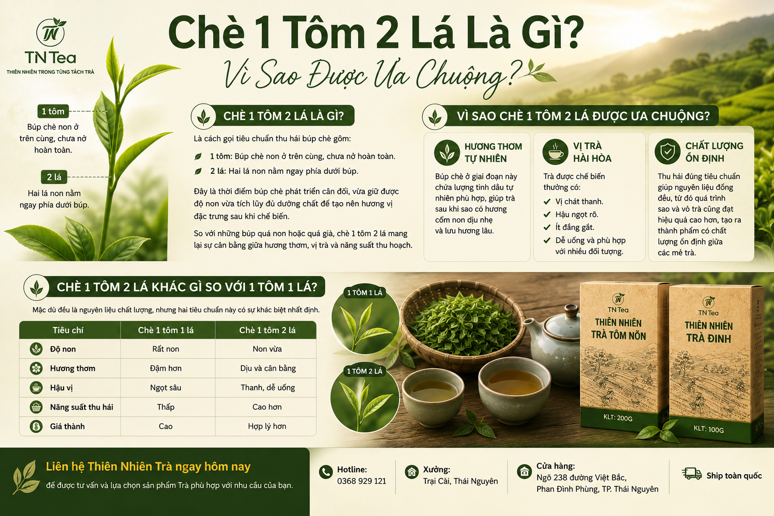 Vì Sao Chè 1 Tôm 2 Lá Được Ưa Chuộng