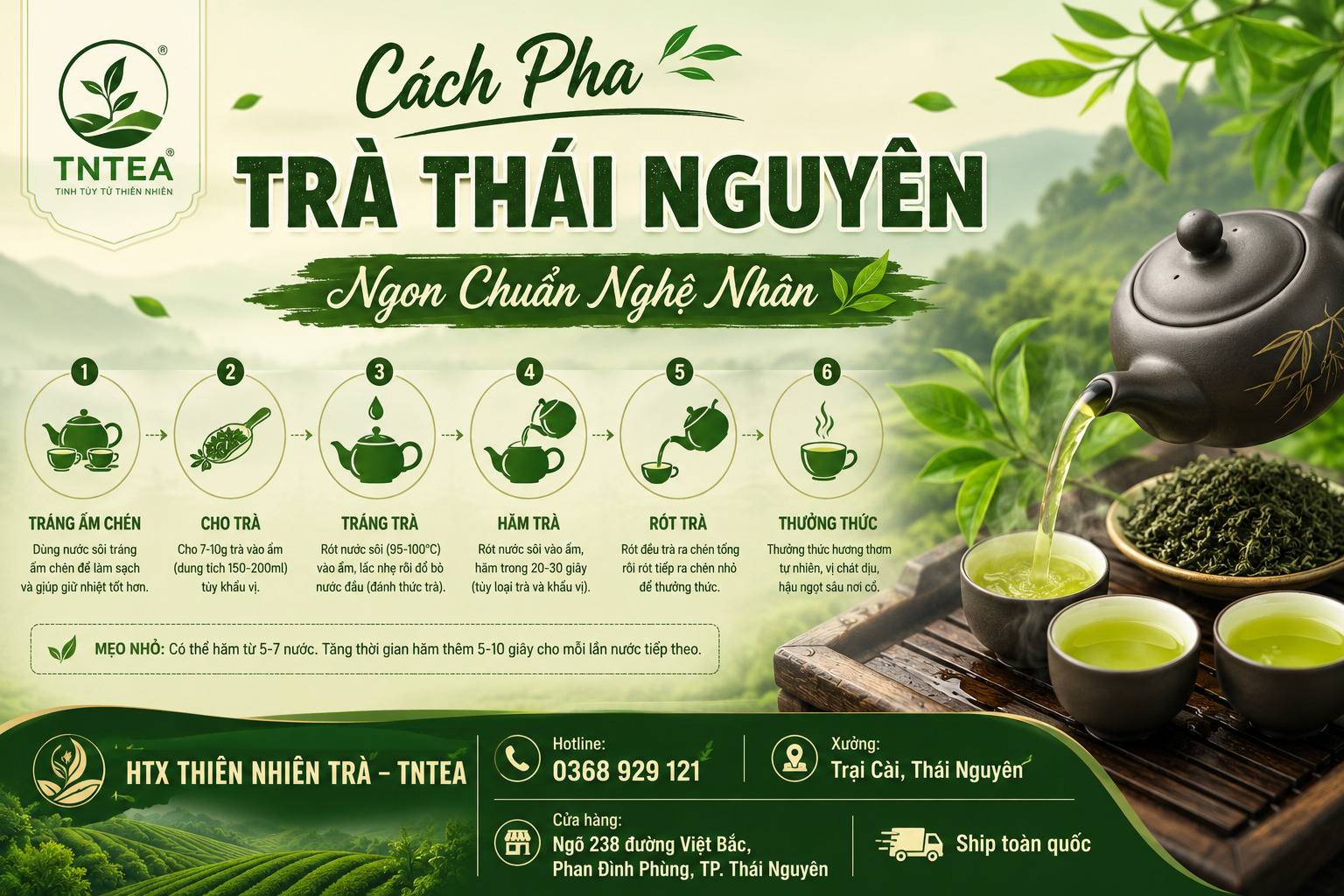 Pha trà Thái Nguyên ngon