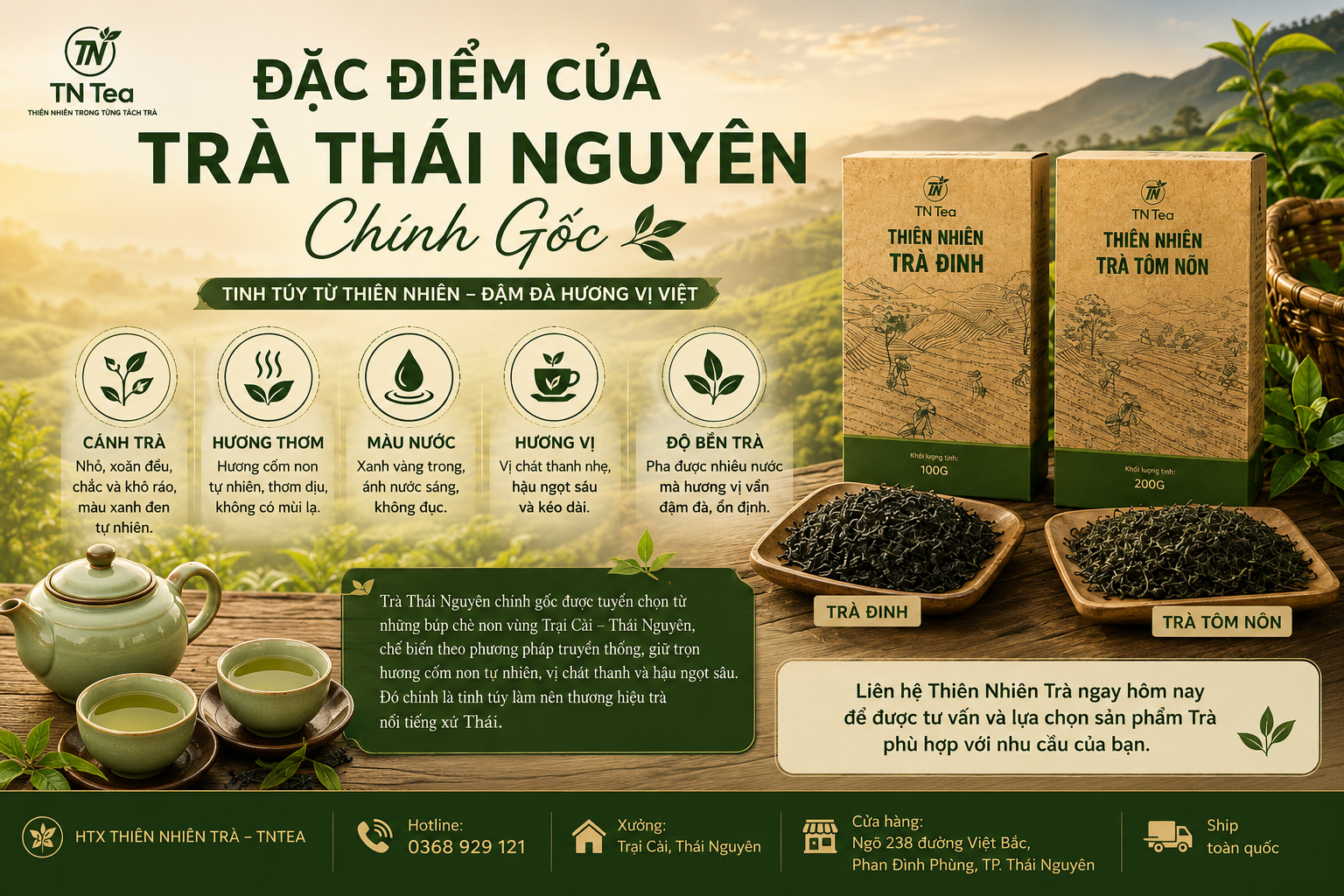Đặc Điểm Của Trà Thái Nguyên Chính Gốc