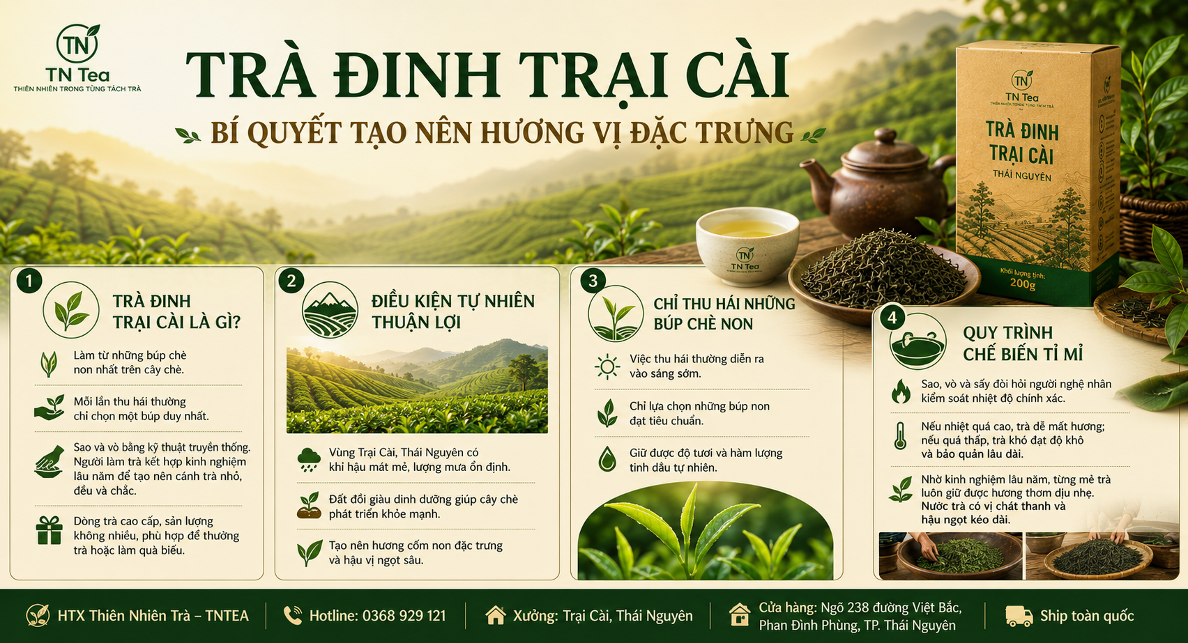 Bí Quyết Tạo Nên Hương Vị Đặc Trưng Của Trà Đinh Trại Cài