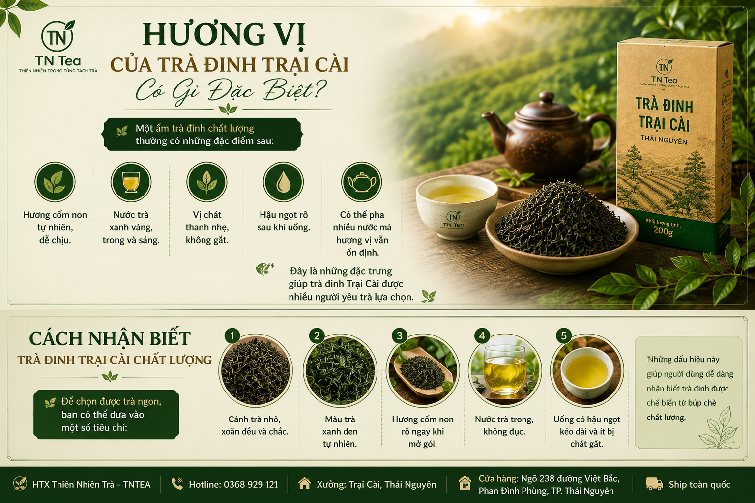 Hương Vị Của Trà Đinh Trại Cài Có Gì Đặc Biệt