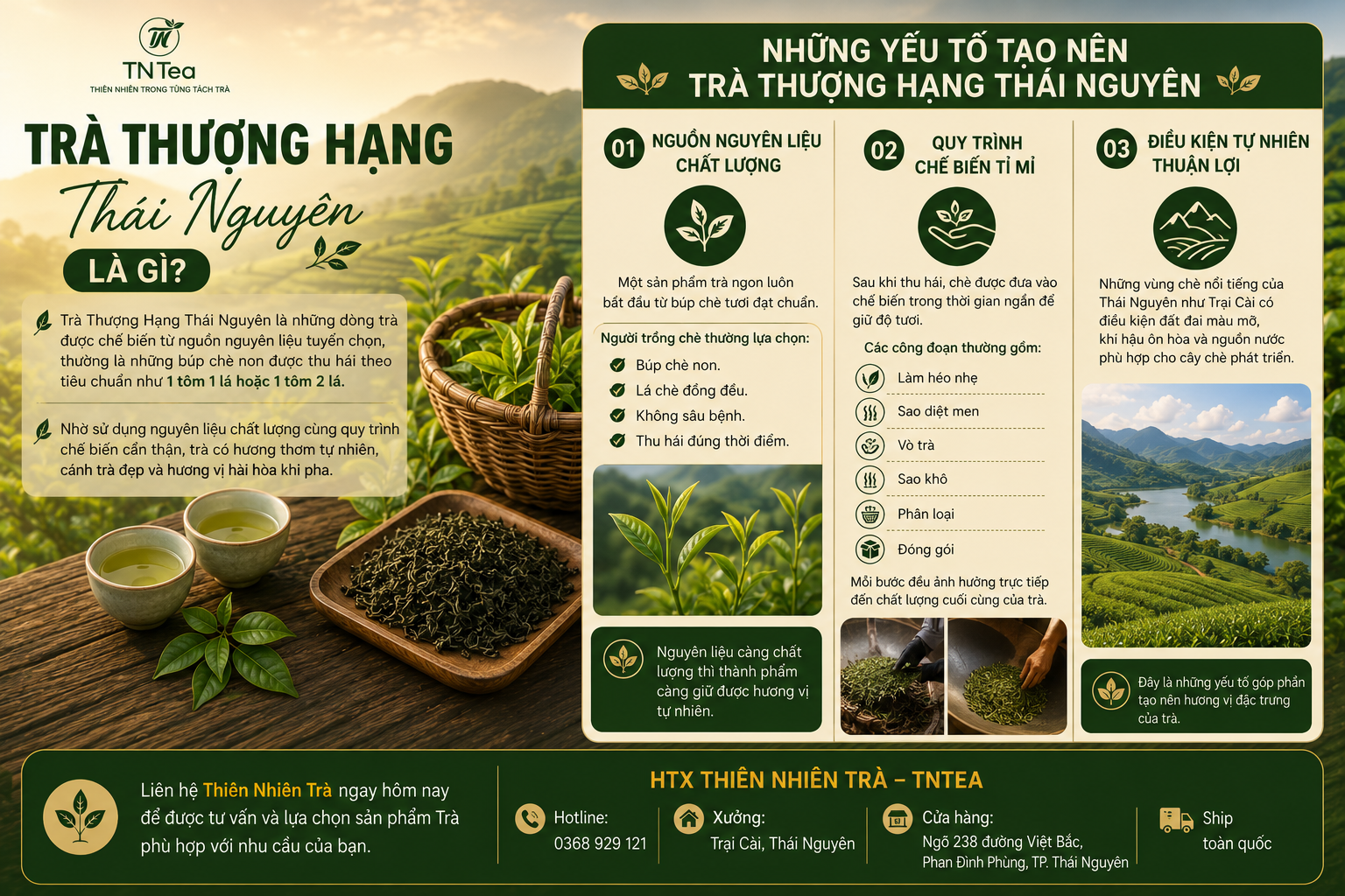 Những Yếu Tố Tạo Nên Trà Thượng Hạng Thái Nguyên