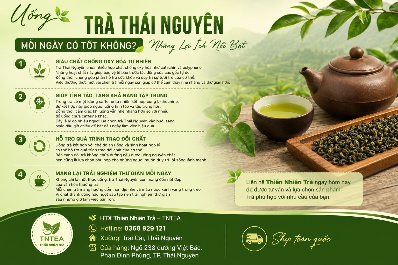 Uống Trà Thái Nguyên Mỗi Ngày Có Tốt Không? Những Lợi Ích Nổi Bật