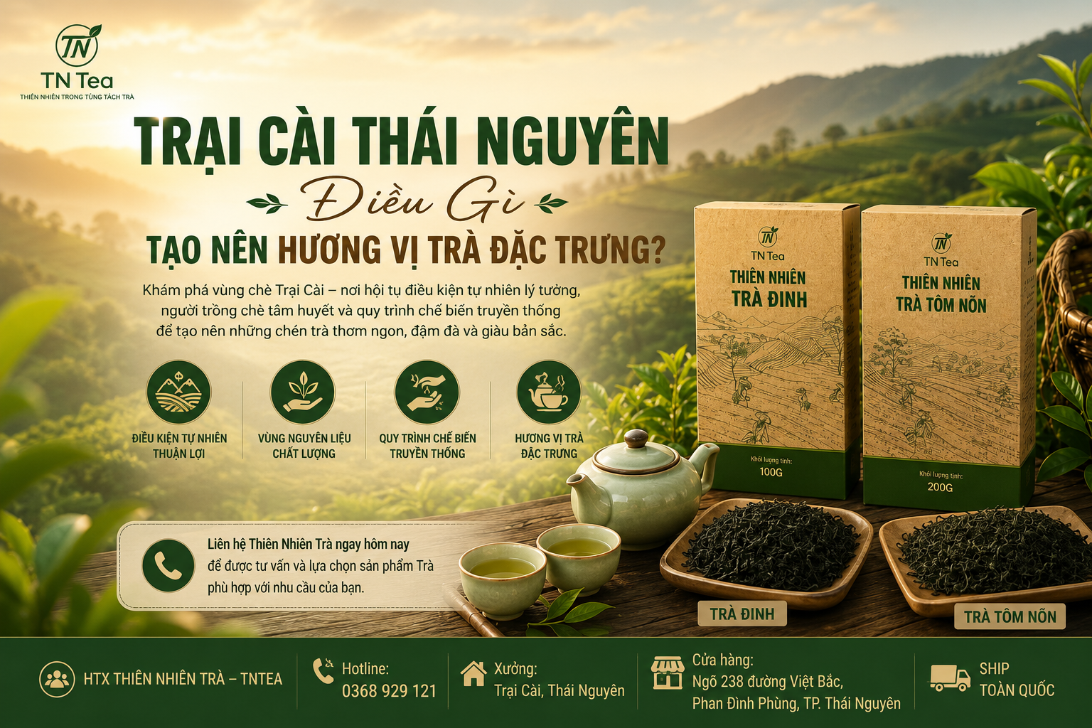 Trại Cài Thái Nguyên – Điều Gì Tạo Nên Hương Vị Trà Đặc Trưng?
