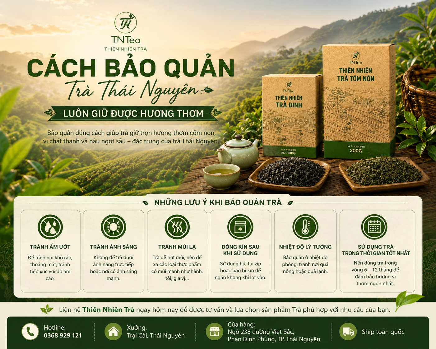 Cách Bảo Quản Trà Thái Nguyên Luôn Giữ Được Hương Thơm