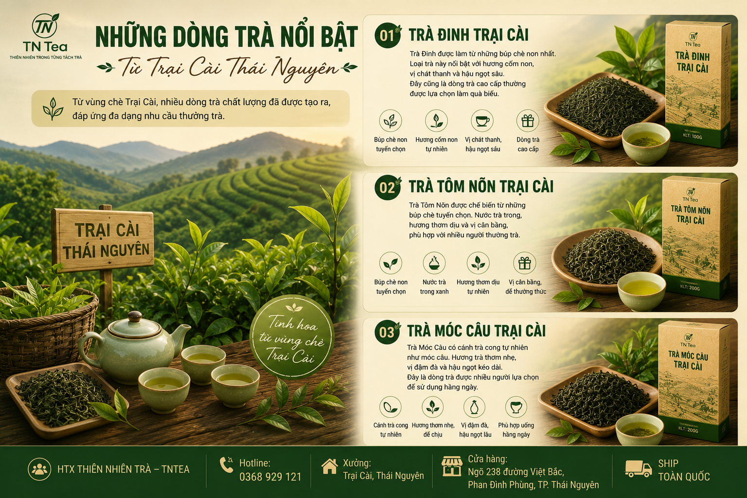 Những Dòng Trà Nổi Bật Từ Trại Cài Thái Nguyên