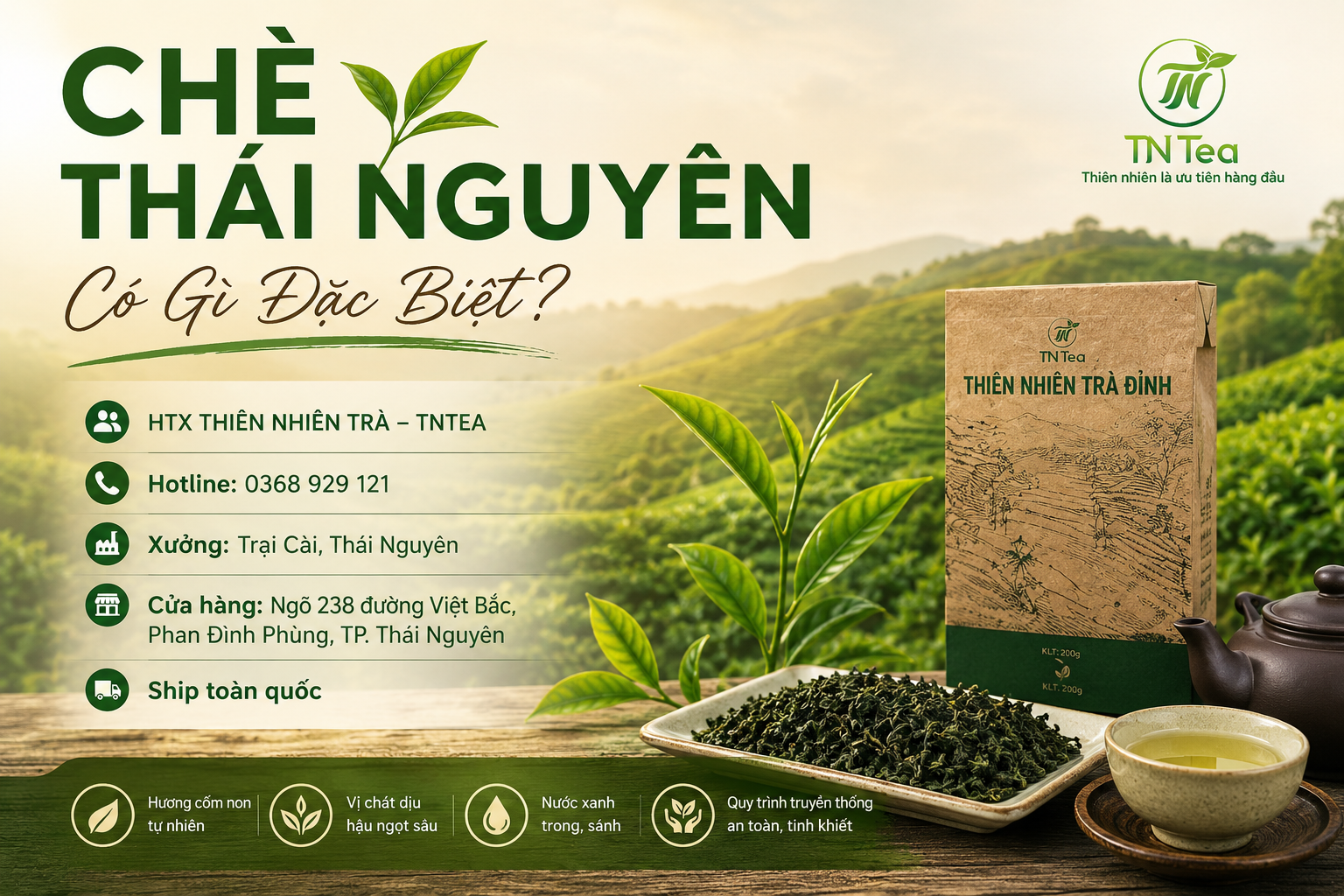 Chè Thái Nguyên Có Gì Đặc Biệt
