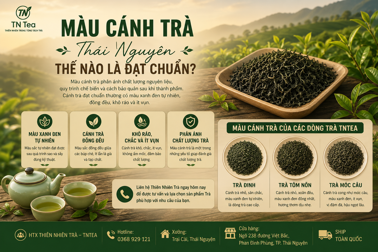 Màu Cánh Trà Thái Nguyên Thế Nào Là Đạt Chuẩn
