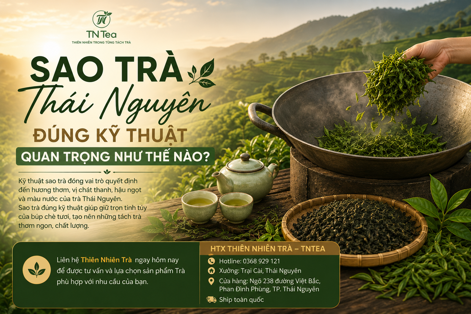 Sao Trà Thái Nguyên Đúng Kỹ Thuật Quan Trọng Như Thế Nào