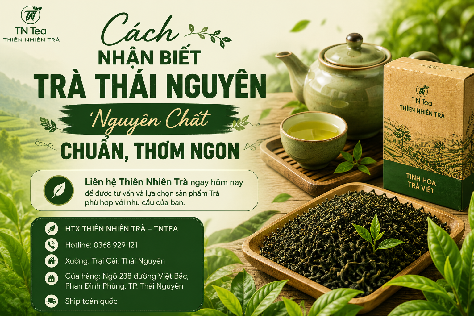 Cách Nhận Biết Trà Thái Nguyên Nguyên Chất Chuẩn, Thơm Ngon