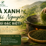 Trà Xanh Thái Nguyên Có Gì Đặc Biệt
