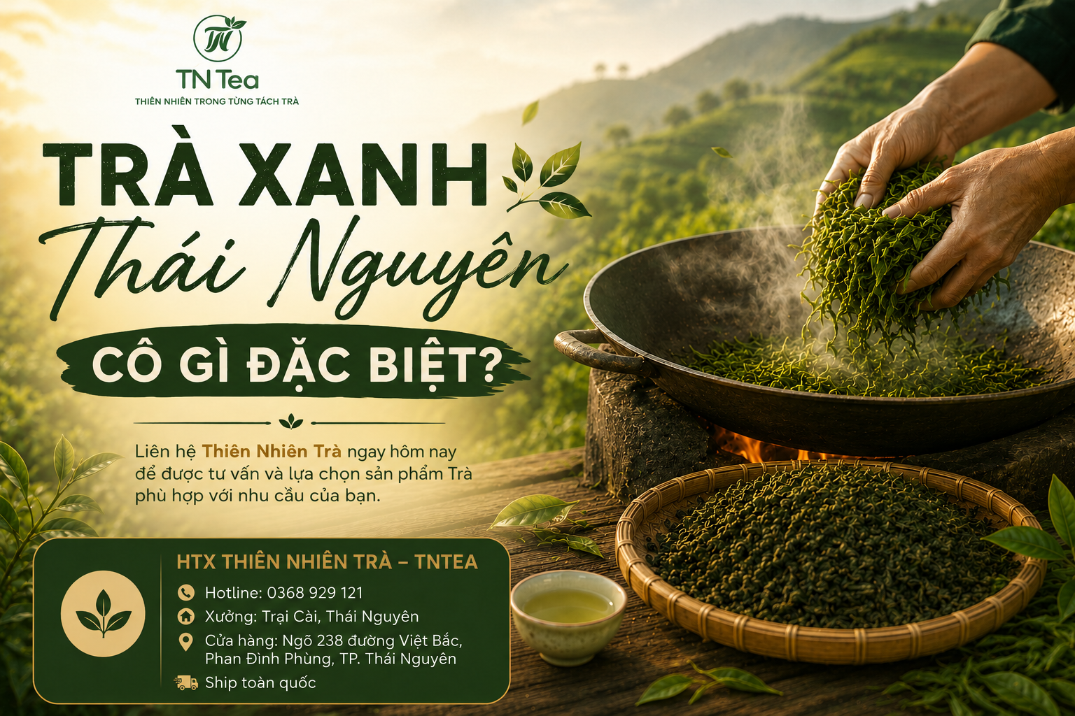 Trà Xanh Thái Nguyên Có Gì Đặc Biệt