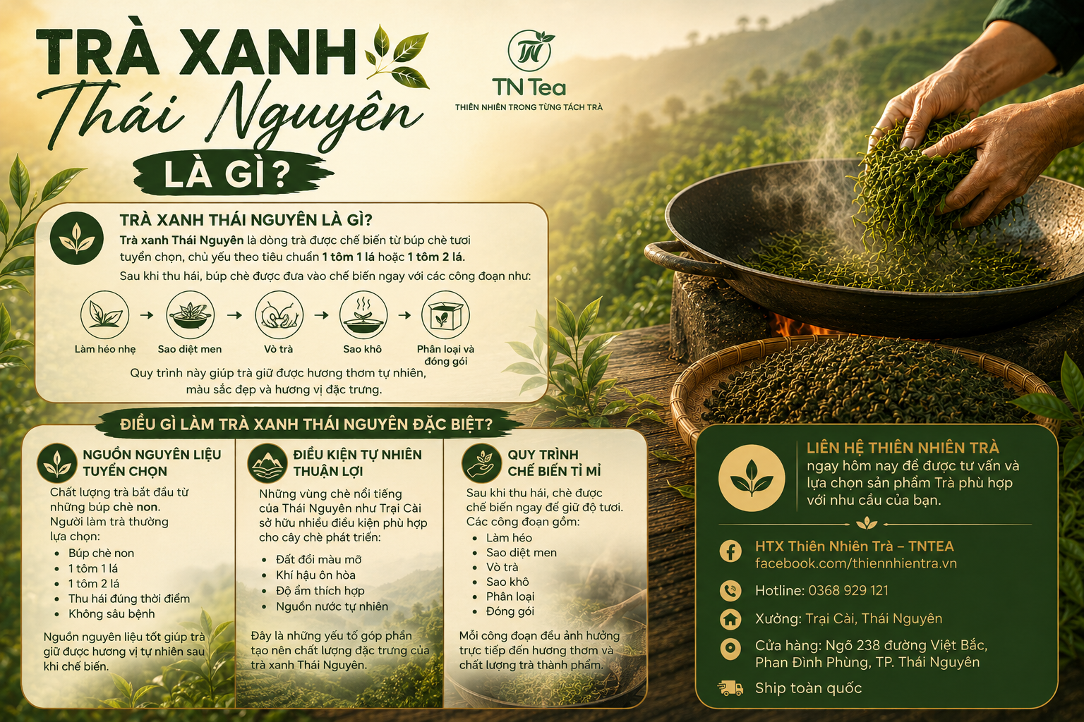Điều Gì Làm Trà Xanh Thái Nguyên Đặc Biệt