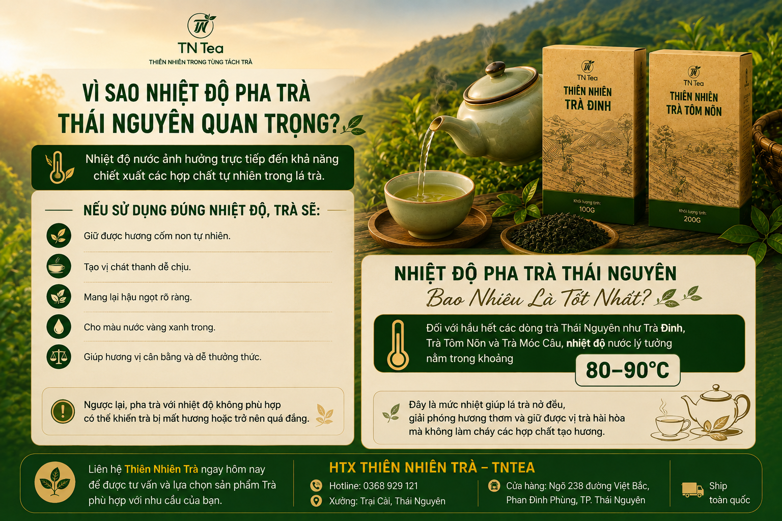 Vì Sao Nhiệt Độ Pha Trà Thái Nguyên Quan Trọng