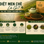 Diệt Men Chè Là Gì? Vai Trò Trong Chế Biến Trà