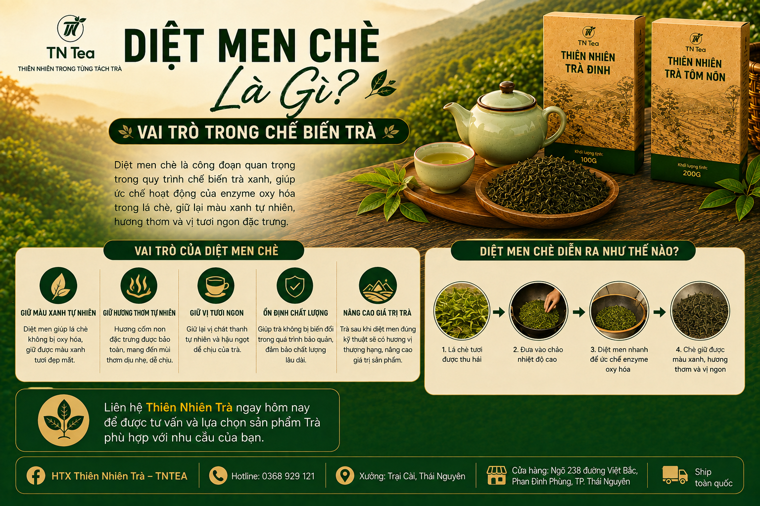Diệt Men Chè Là Gì? Vai Trò Trong Chế Biến Trà