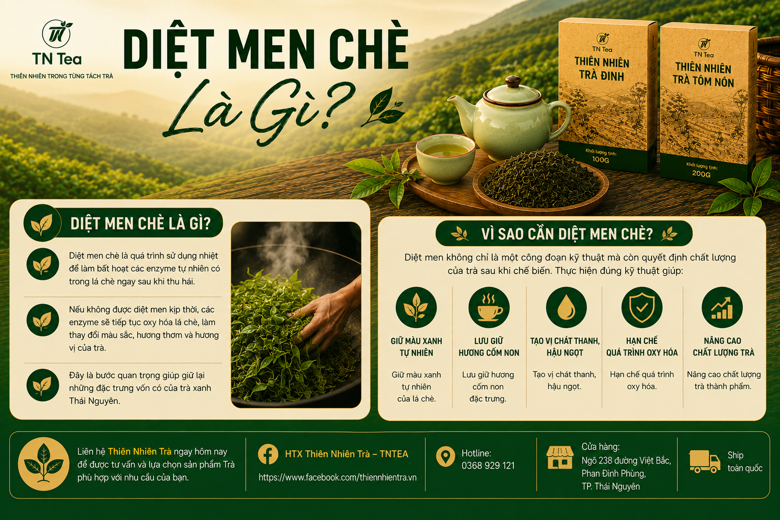 Vì Sao Cần Diệt Men Chè