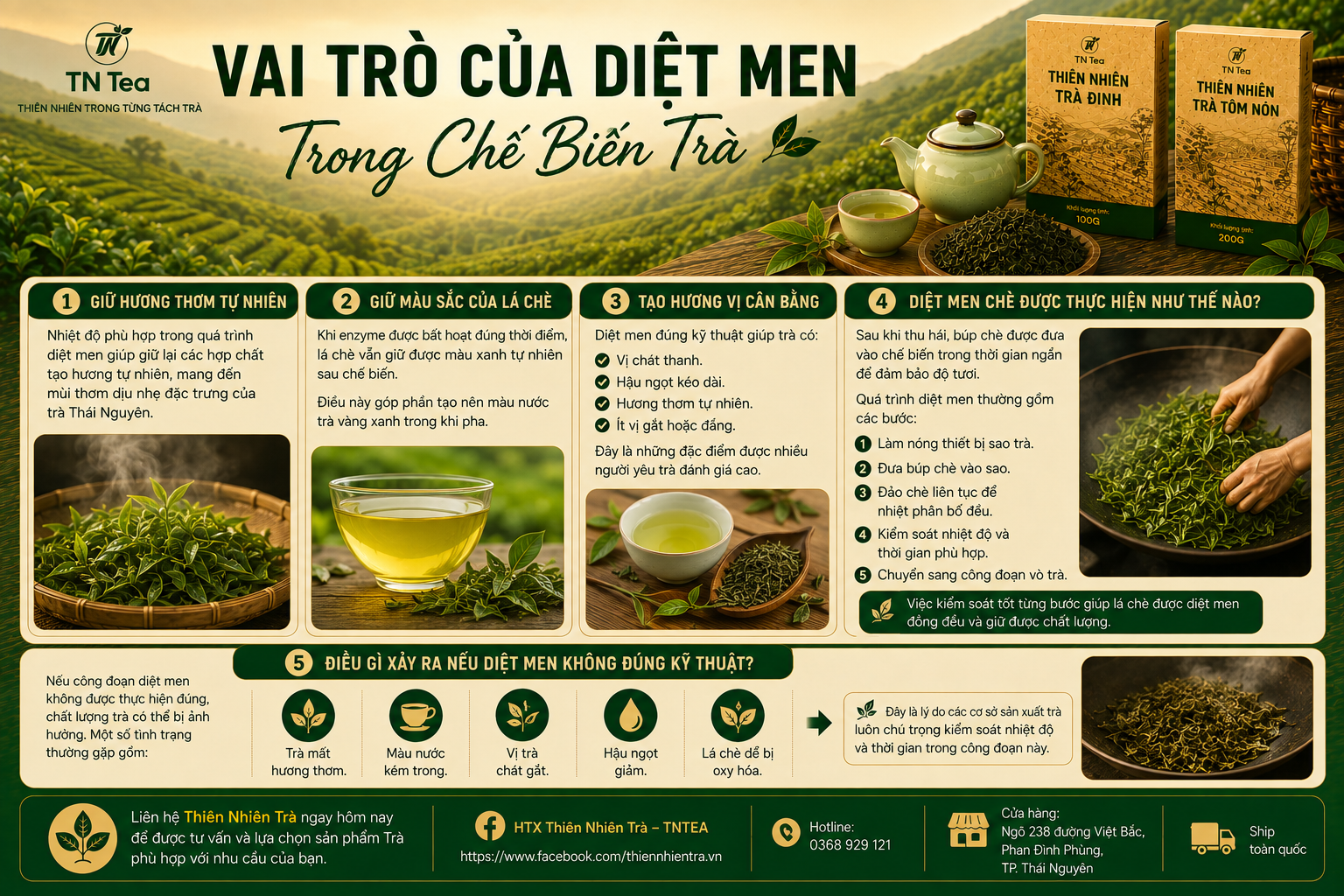 Vai Trò Của Diệt Men Trong Chế Biến Trà