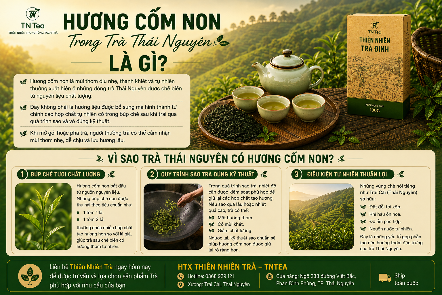 Vì Sao Trà Thái Nguyên Có Hương Cốm Non