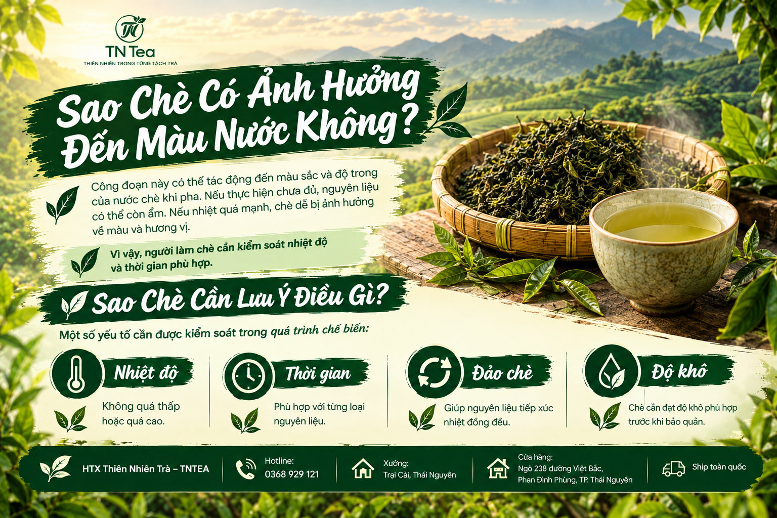 Sao Chè Có Ảnh Hưởng Đến Màu Nước Không?