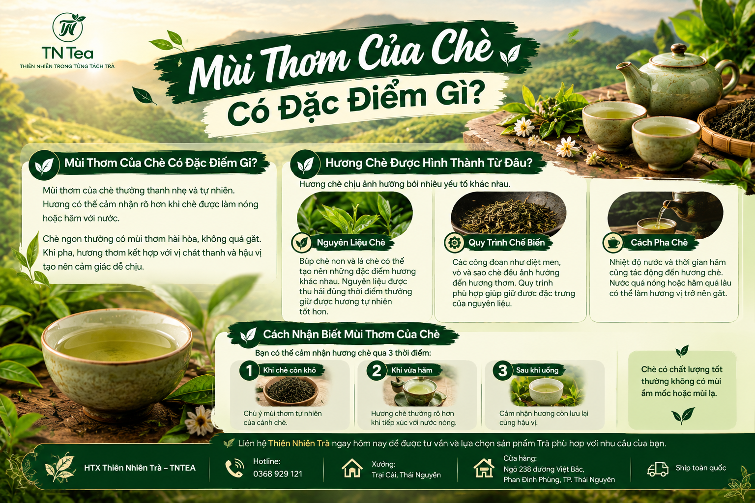 Mùi Thơm Của Chè Có Đặc Điểm Gì
