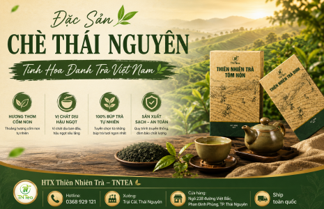 Đặc Sản Chè Thái Nguyên – Tinh Hoa Danh Trà Việt Nam