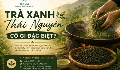 Trà Xanh Thái Nguyên Có Gì Đặc Biệt